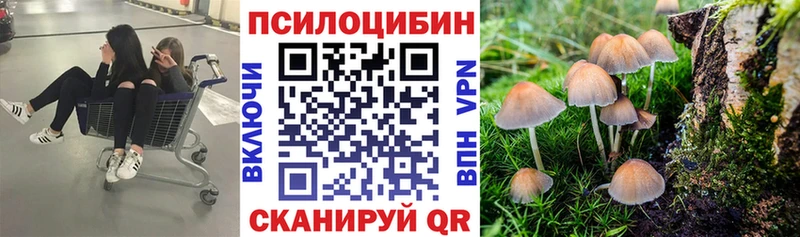 как найти наркотики  ссылка на мегу маркетплейс  Псилоцибиновые грибы прущие грибы  Узловая 