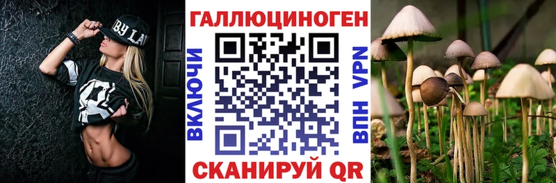 Псилоцибиновые грибы GOLDEN TEACHER Узловая