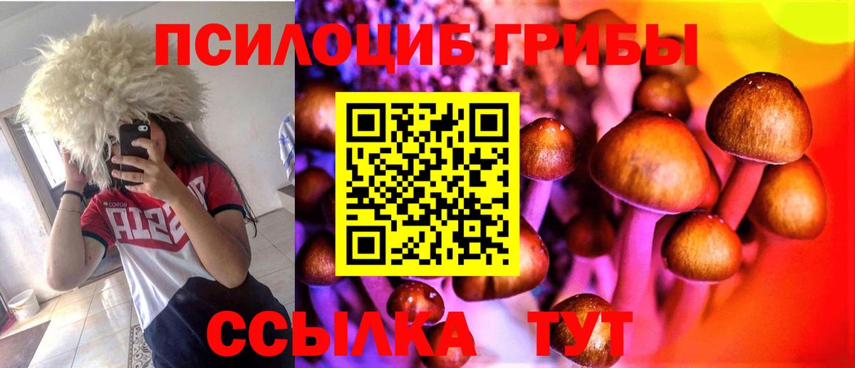 Псилоцибиновые грибы мухоморы Узловая